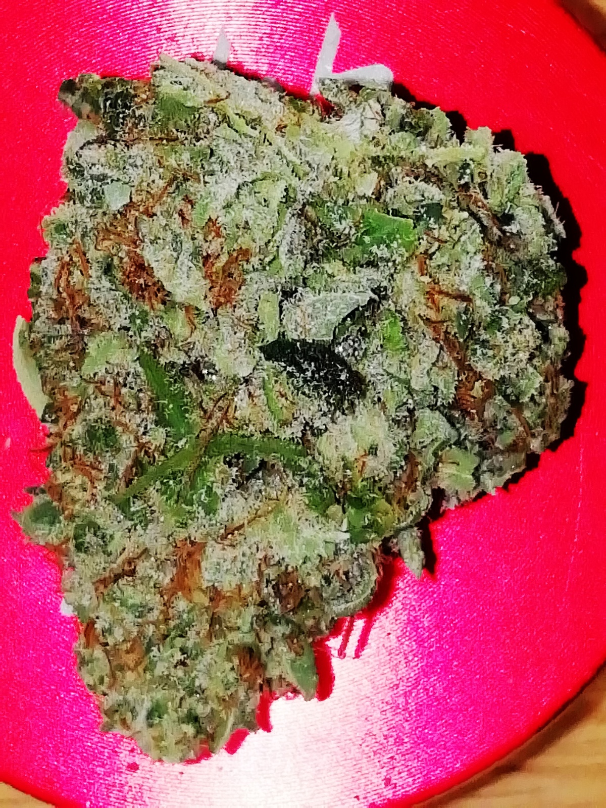 Orange Juice